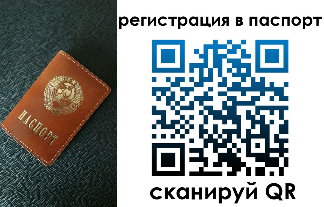 регистрация в Камчатской области